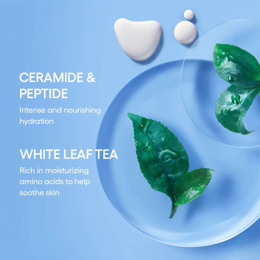 cream skin toner moisturizer