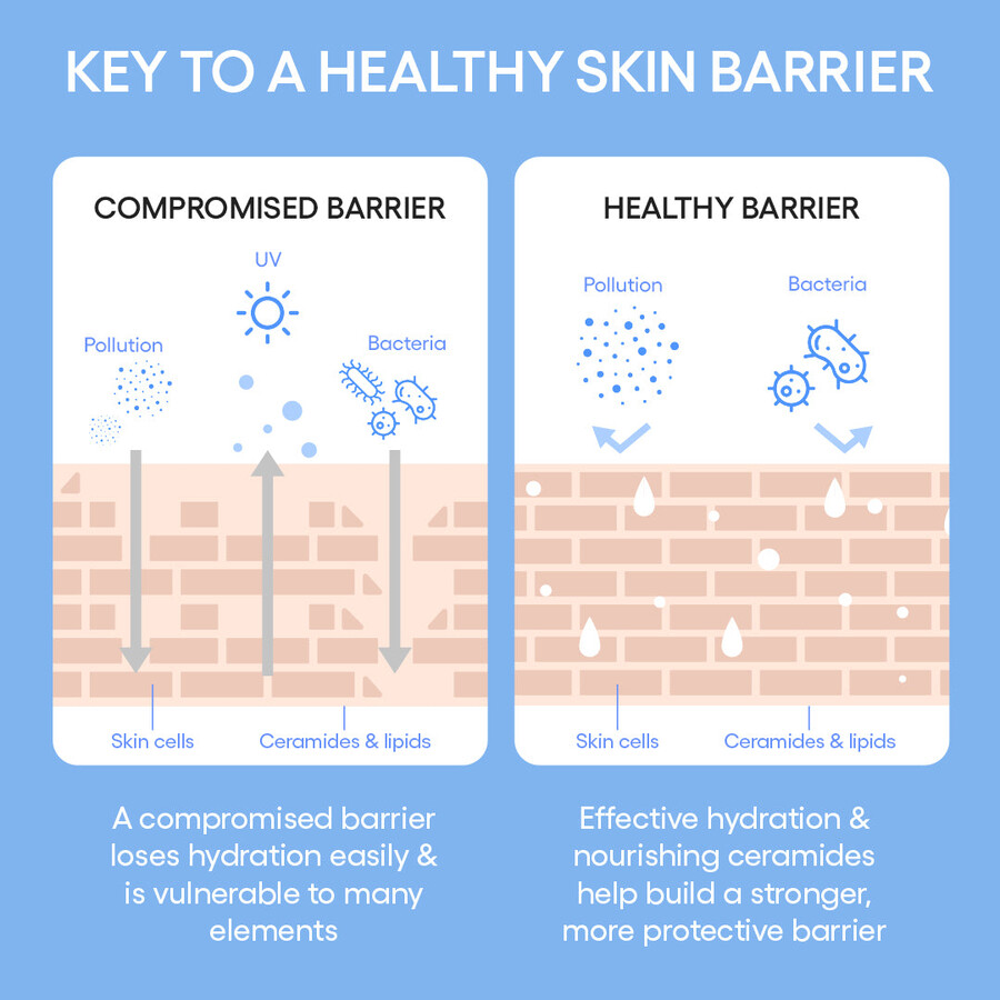 cream skin toner moisturizer